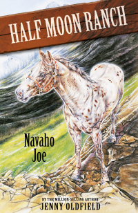 Cover image: Navaho Joe 9781444905694