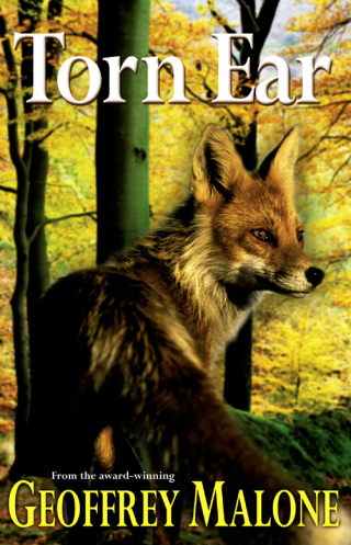 Cover image: Torn Ear 9781444909364