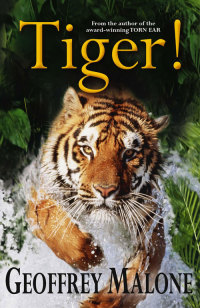 Cover image: Tiger 9780340893586