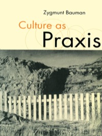 Imagen de portada: Culture as Praxis 1st edition 9780761959885