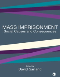 Titelbild: Mass Imprisonment 1st edition 9780761973249