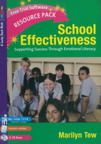 Omslagafbeelding: School Effectiveness 1st edition 9781412913065