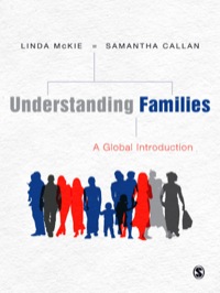 Cover image: Understanding Families 1st edition 9781847879325