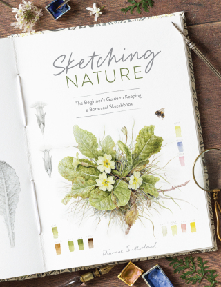 Cover image: Sketching Nature 9781446314098