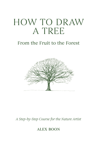 Cover image: How to Draw a Tree: From the Fruit to the Forest 9781446314791