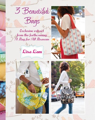 Cover image: 3 Beautiful Bags 9781446357248