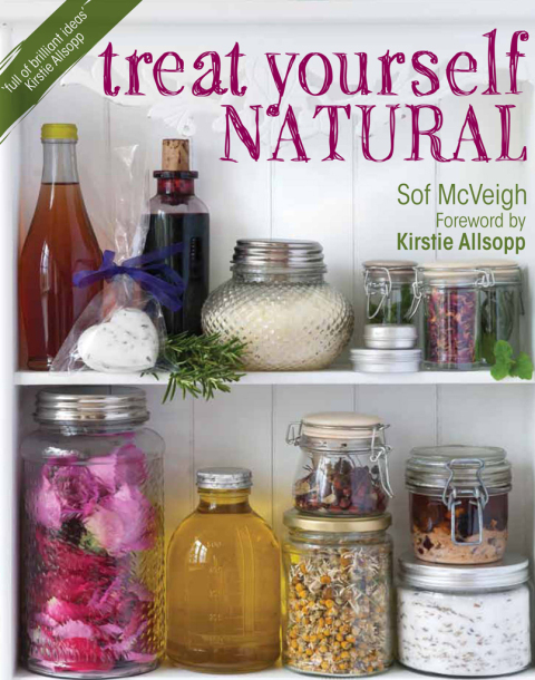 Treat Yourself Natural: Over 50 Easy to Make Natural Remedies for Mind and Body - FULL INSTANT DOWNLOAD | PDF DOCX EPUB