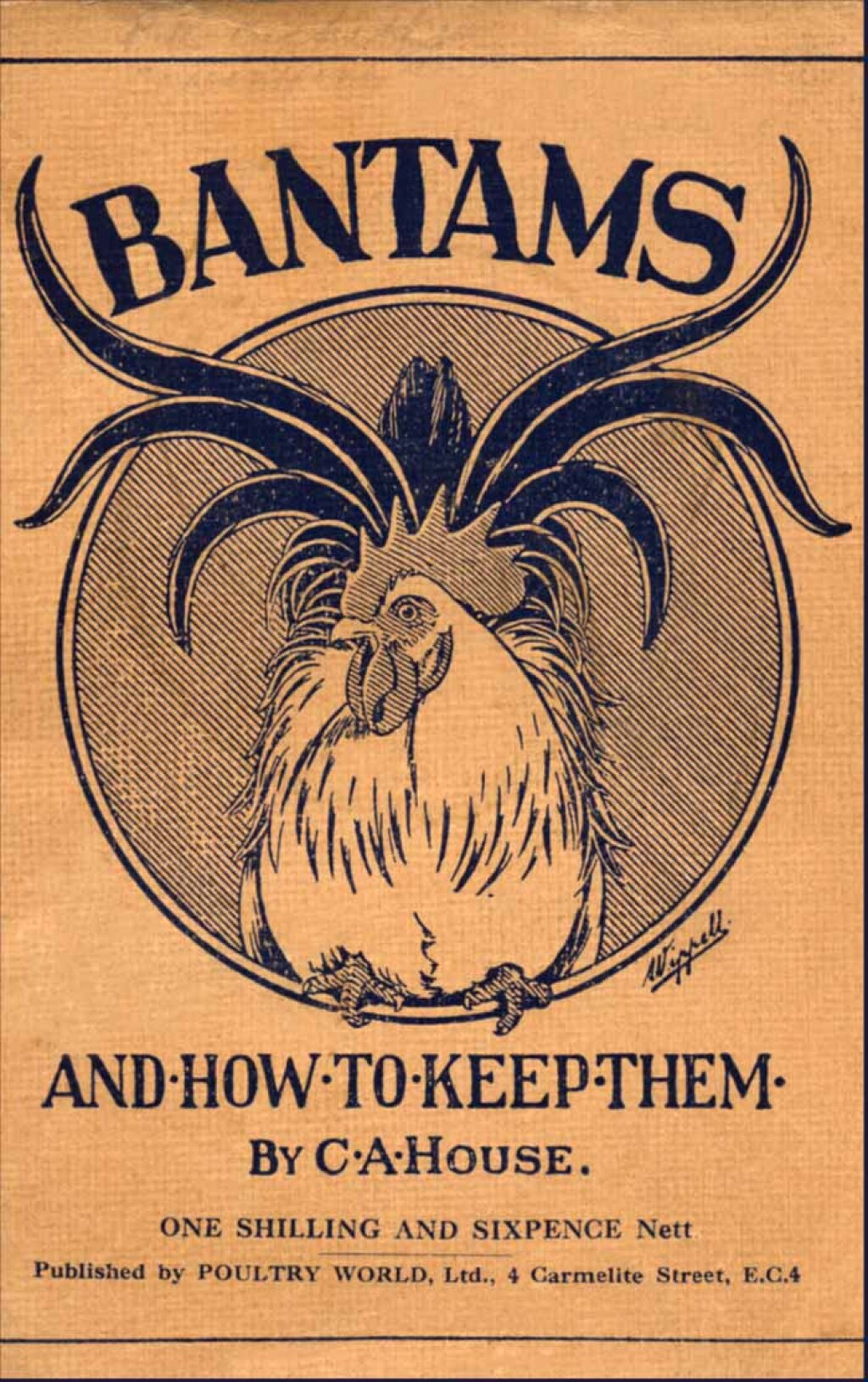 Bantams and How to Keep Them (Poultry Series – Chickens)