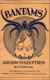 Imagen de portada: Bantams and How to Keep Them (Poultry Series - Chickens) 9781905124565