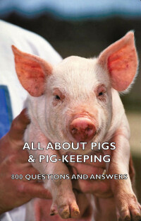 Cover image: All about Pigs & Pig-Keeping - 800 Questions and Answers 9781406797206