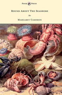 Imagen de portada: Round about the Seashore - With Eight Coloured Pictures 9781445505879