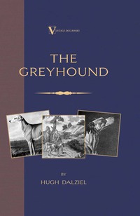 صورة الغلاف: The Greyhound: Breeding, Coursing, Racing, etc. (a Vintage Dog Books Breed Classic) 9781846640483