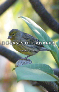 صورة الغلاف: Diseases of Canaries 9781406795394