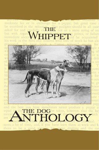 Cover image: The Whippet - A Dog Anthology (A Vintage Dog Books Breed Classic) 9781406787665