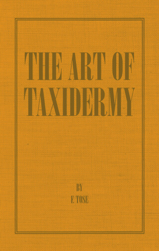Imagen de portada: The Art of Taxidermy 9781406787351