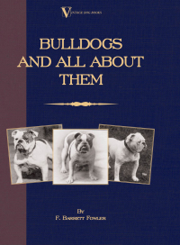 表紙画像: Bulldogs and All About Them (A Vintage Dog Books Breed Classic - Bulldog / French Bulldog) 9781905124985