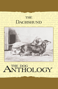 صورة الغلاف: The Daschund - A Dog Anthology (A Vintage Dog Books Breed Classic) 9781406787764