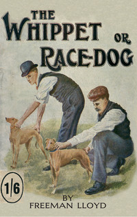 صورة الغلاف: The Whippet or Race Dog: Its Breeding, Rearing, and Training for Races and for Exhibition. (With Illustrations of Typical Dogs and Diagrams of Tracks) 9781846640506