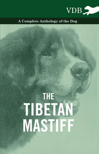 Immagine di copertina: The Tibetan Mastiff - A Complete Anthology of the Dog 9781445526720