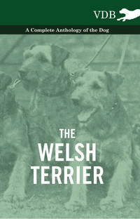 Immagine di copertina: The Welsh Terrier - A Complete Anthology of the Dog 9781445526812