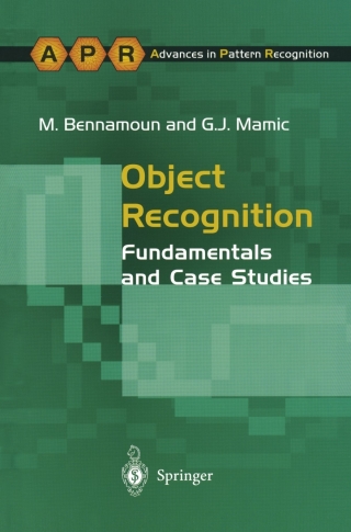 Cover image: Object Recognition 9781852333980
