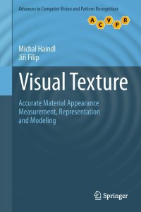 Cover image: Visual Texture 9781447149019