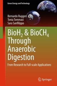 Imagen de portada: BioH2 & BioCH4 Through Anaerobic Digestion 9781447164302