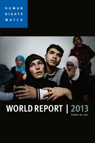Imagen de portada: World Report 2013 1st edition