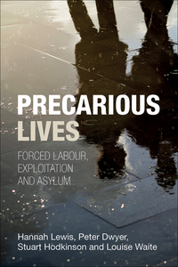 Cover image: Precarious lives 1st edition 9781447306917