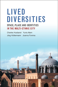Imagen de portada: Lived diversities 1st edition 9781447315711