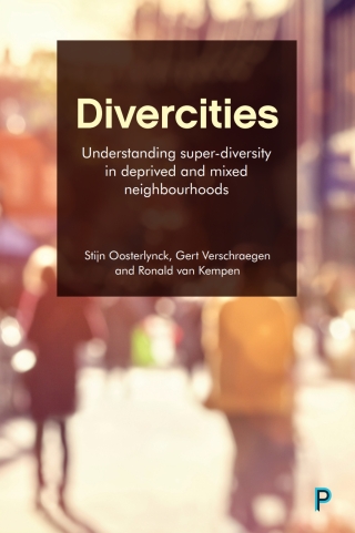 Titelbild: Divercities 1st edition 9781447338178