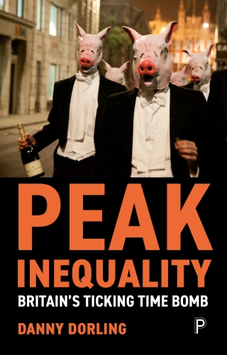 Cover image: Peak Inequality 1st edition 9781447349105