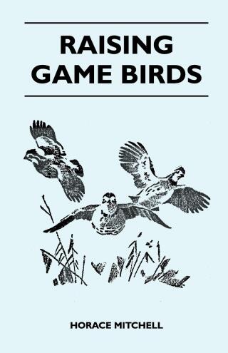 Imagen de portada: Raising Game Birds 9781446525593