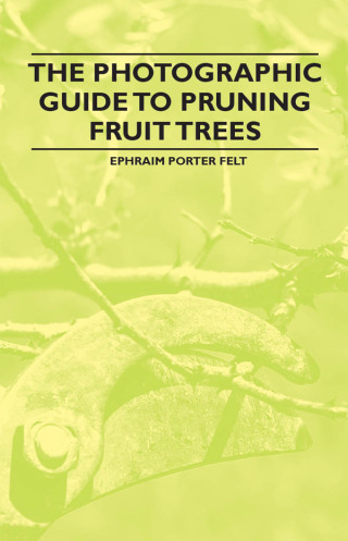 Cover image: The Photographic Guide to Pruning Fruit Trees 9781446537886