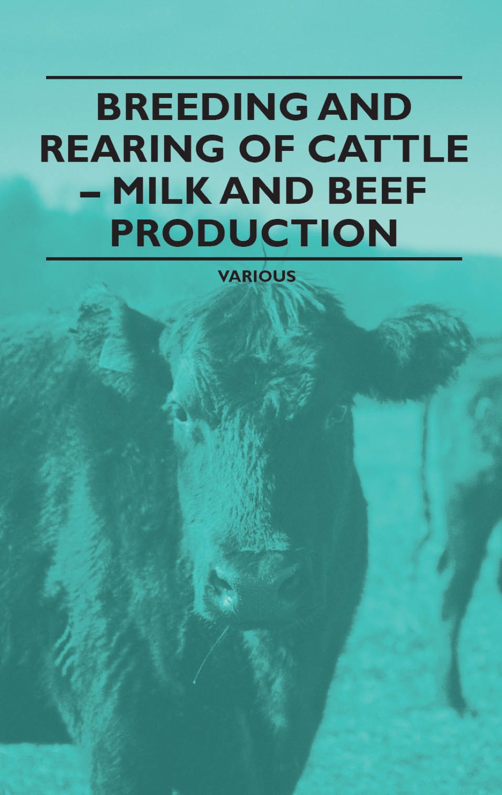 Breeding and Rearing of Cattle – Milk and Beef Production