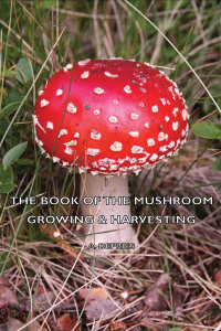 صورة الغلاف: The Book of the Mushroom 9781406797619