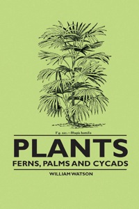 Immagine di copertina: Plants - Ferns, Palms and Cycads 9781446523568