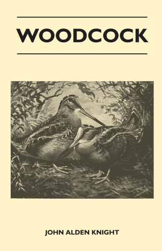 Cover image: Woodcock 9781446527139