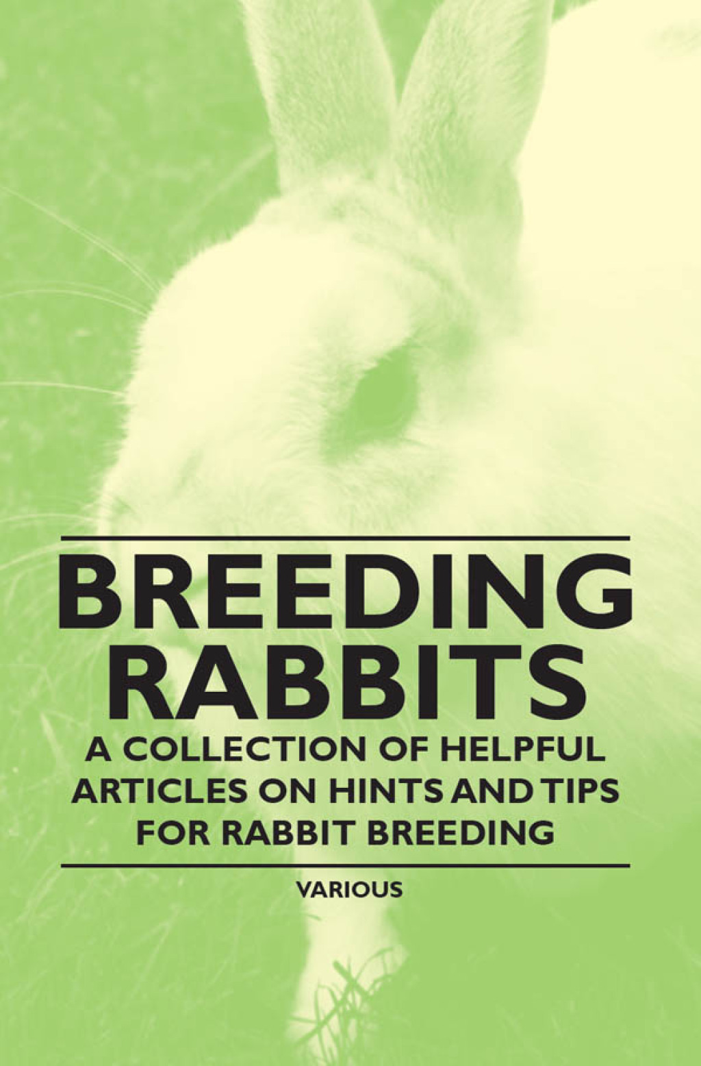 Breeding Rabbits – A Collection of Helpful Articles on Hints and Tips for Rabbit Breeding
