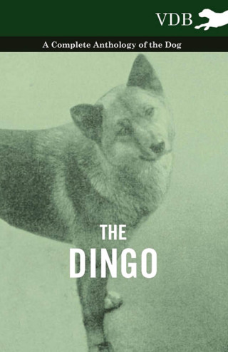 Cover image: The Dingo - A Complete Anthology of the Dog - 9781445525945
