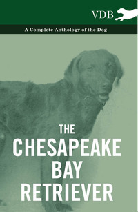 صورة الغلاف: The Chesapeake Bay Retriever - A Complete Anthology of the Dog - 9781445525839