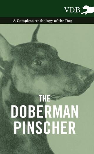 Cover image: The Doberman Pinscher - A Complete Anthology of the Dog - 9781445527154