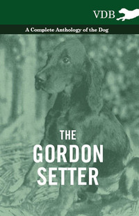 Titelbild: The Gordon Setter - A Complete Anthology of the Dog 9781445526119
