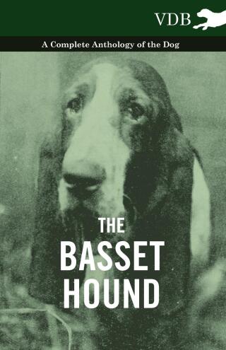 Imagen de portada: The Basset Hound - A Complete Anthology of the Dog - 9781445525716