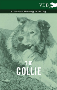 Omslagafbeelding: The Collie - A Complete Anthology of the Dog - 9781445525884