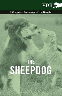 صورة الغلاف: The Sheepdog - A Complete Anthology of the Breeds 9781445526560