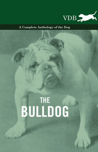 صورة الغلاف: The Bulldog - A Complete Anthology of the Dog - 9781445527017