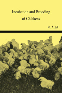 Omslagafbeelding: Incubation and Brooding of Chickens 9781445512730