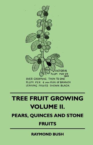 Titelbild: Tree Fruit Growing - Volume II. - Pears, Quinces and Stone Fruits 9781445509440