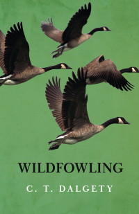 Cover image: Wildfowling 9781444655681